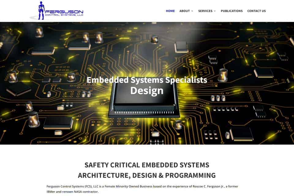 Ferguson Control Systems by Eagle Custom Apparel